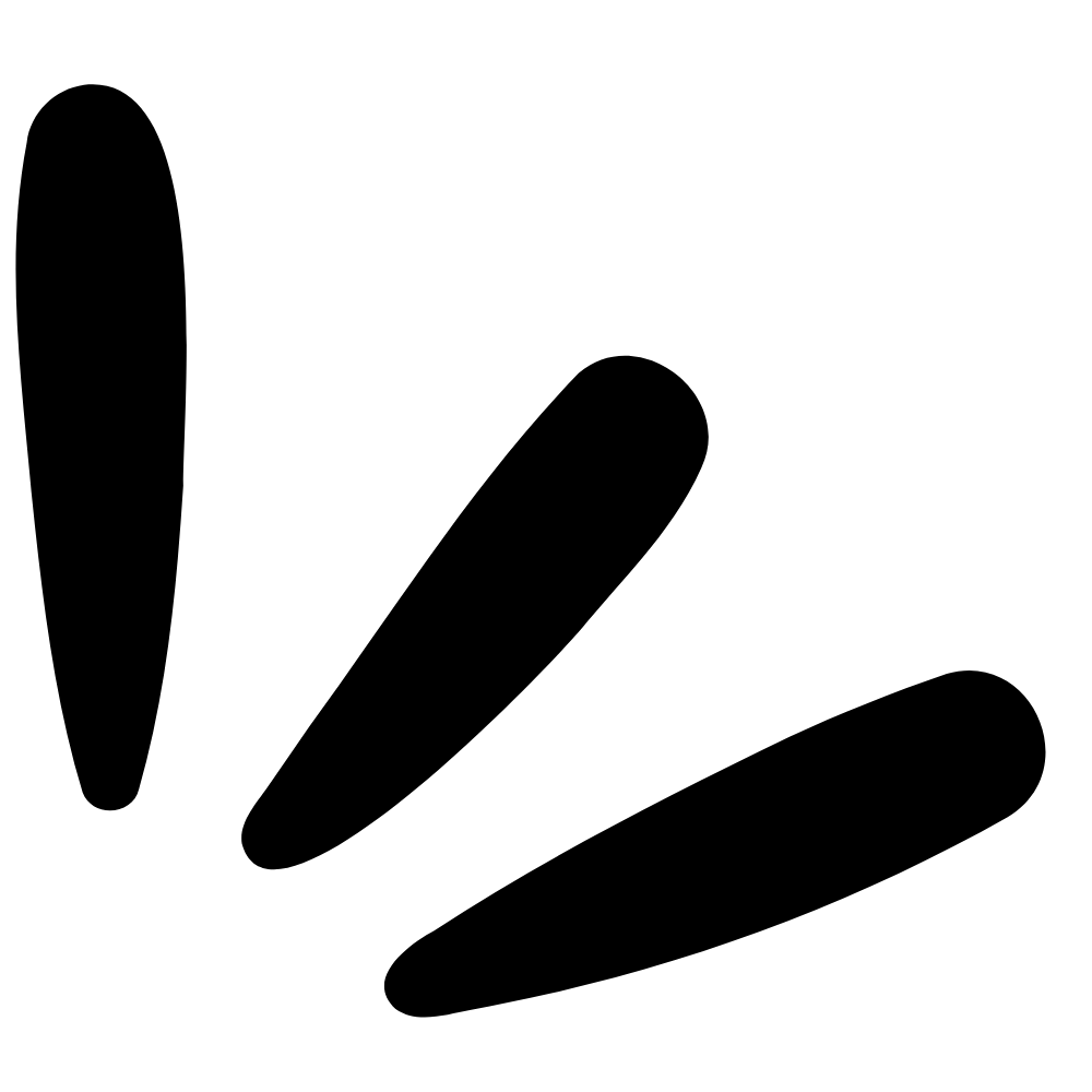etapas (1)